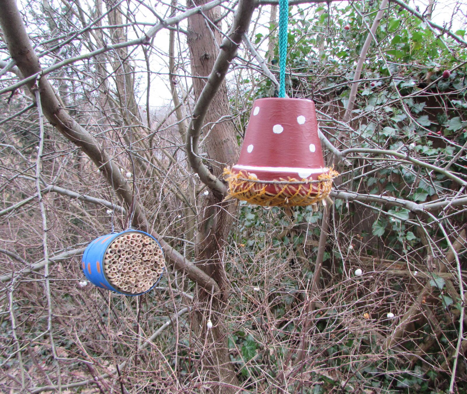 Veranstaltungen Waren (Müritz)