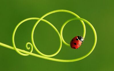 Sonderausstellung im Müritzeum