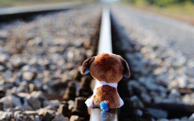 Präventionsarbeit gegen Gewalt und Mobbing