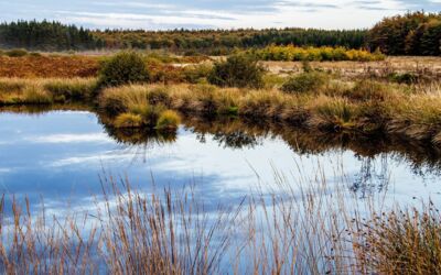 Zielvereinbarung Moorbodenschutz unterzeichnet