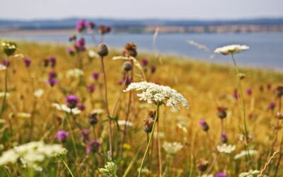 Wanderungen Mecklenburg-Vorpommern