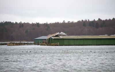Sturmschäden Bootsschuppen Waren (Müritz)