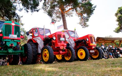 Veranstaltung Alt Schwerin