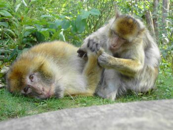 Tierpark Malchow