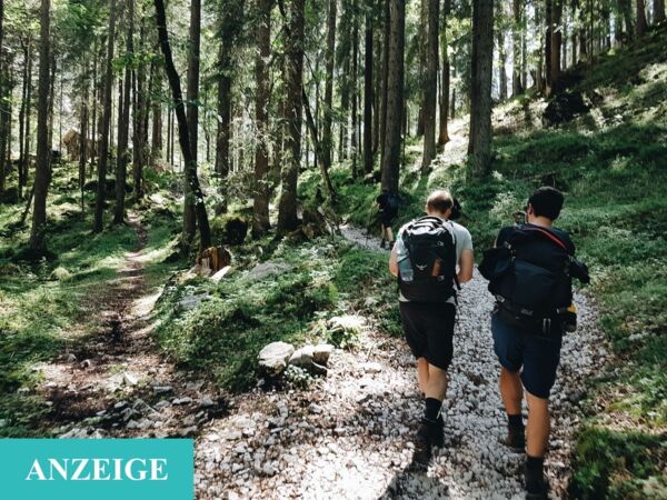 Zwei Wanderer mit Rucksäcken, die im Sommer auf einem malerischen Waldweg spazieren gehen.
