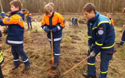 Baumpflanzaktion in Waren (Müritz)