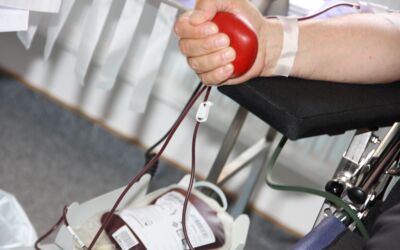 Blutspendetermine Mecklenburgische Seenplatte