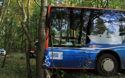 Nationalpark-Bus verunglückt in Speck