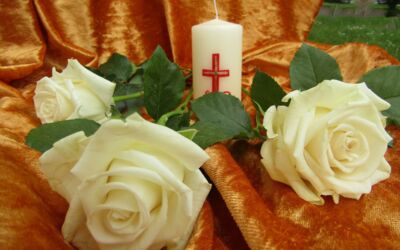 Kirchen Müritzregion