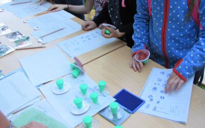 Veranstaltung Waren (Müritz)