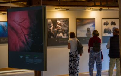 GDT Europäischer Naturfotograf 2021