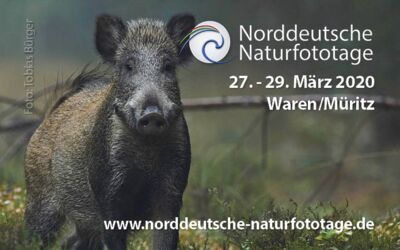 Veranstaltungen Waren (Müritz)