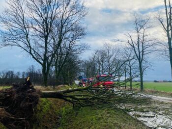 Feuerwehreinsätze nach Sturm Mecklenburgische Seenplatte