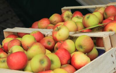 Veranstaltungen Waren (Müritz)