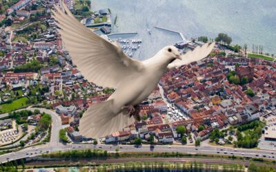 Menschenkette für Frieden am Schweriner Damm