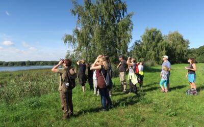 Führungen Nationalpark-Informationen und Ausstellungen Müritz-Nationalpark