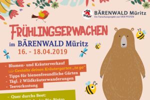 Veranstaltungen Stuer