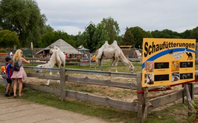 Tiererlebnispark Müritz
