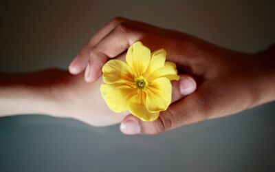 Vier „EngagementGewinner“ aus MV