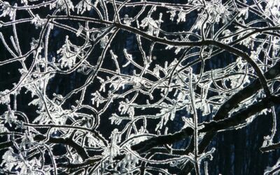 Bodenfrost Müritzregion