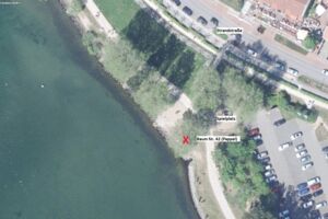 Baumfällung Waren Müritz