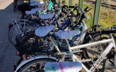 Sattelschoner für Fahrräder