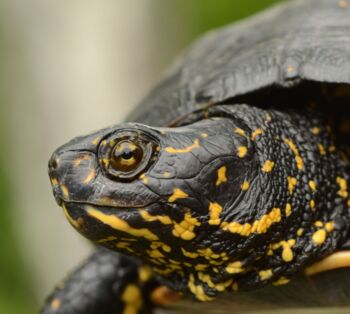 Sonderausstellung im Müritzeum