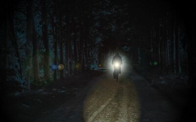 Fahrradlicht kaufen