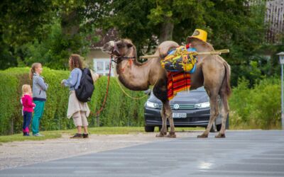 Franzosen Sebastien und Kamel Nasreddin