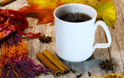 Glühwein selber machen