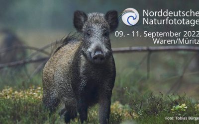 Veranstaltung Bürgersaal Waren (Müritz)