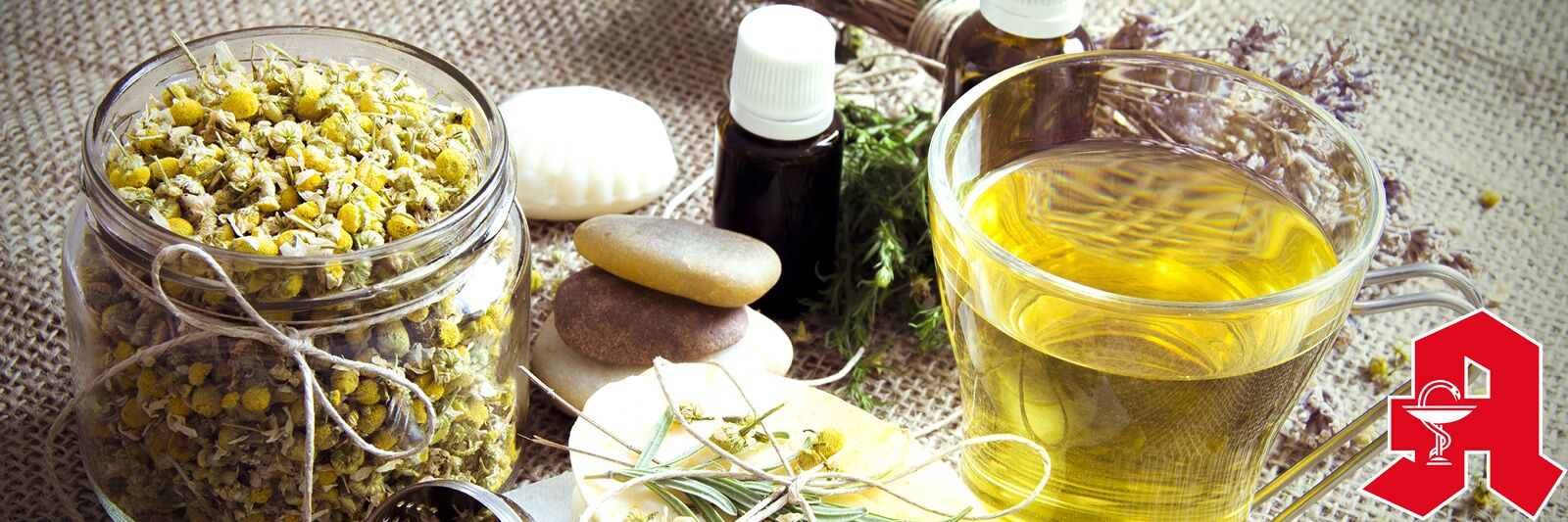 Arbeitsstelle Apotheke Mecklenburgische Seenplatte