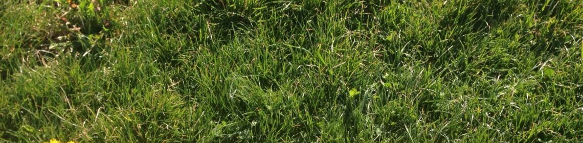 Pfingstfest Groß Kelle