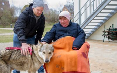 Thomas Frost Wolfsführung