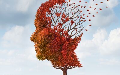 Betreuung von Demenzerkrankten Müritz