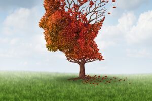 Betreuung von Demenzerkrankten Müritz