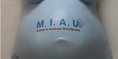 Müritzer Künstler