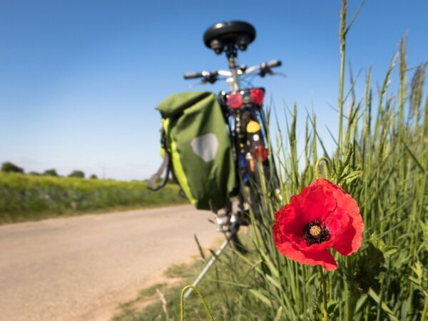 Fahrräder leasen
