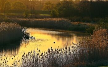 25 Jahre UNESCO Biosphärenreservat Flusslandschaft Elbe