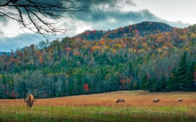 North Carolina Vereinigten Staaten