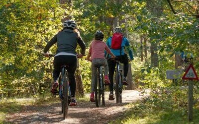 Radfahrer zwischen Boek, Speck, Schwarzenhof und Federow