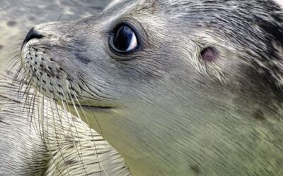 Freizeittipp Rostocker Zoo