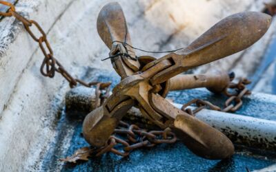 Müritz-Havel-Wasserstraße