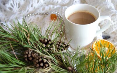 Veranstaltungen Advent Waren (Müritz)