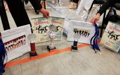 SKV Waren (Müritz) Tanzgruppe Arabesque