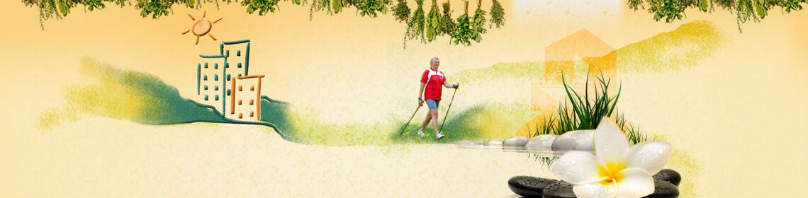 Apotheke Mecklenburgische Seenplatte