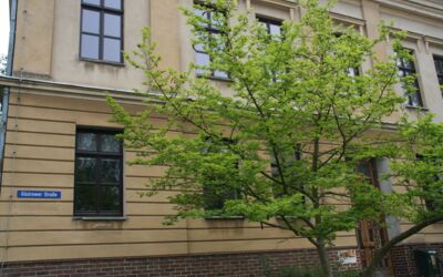 Historische Infotafeln in Waren (Müritz)