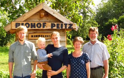 Bio-Rindfleisch Mecklenburgische Seenplatte