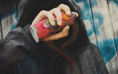 illegale Sprayer Mecklenburgische Seenplatte