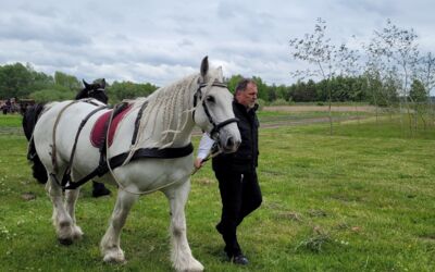 Veranstaltung Alt Schwerin